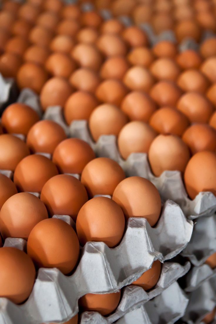 Huevos frescos de Pollos Santa Mónica